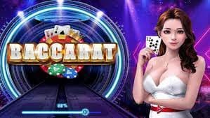 3388 bet login